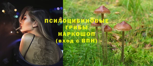 таблы Арсеньев